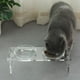 thumbnail image 5 of Juego de cuencos elevados para perros y gatos Feoyoho de acrílico con 2 cuencos de acero inoxidable, 5 of 36