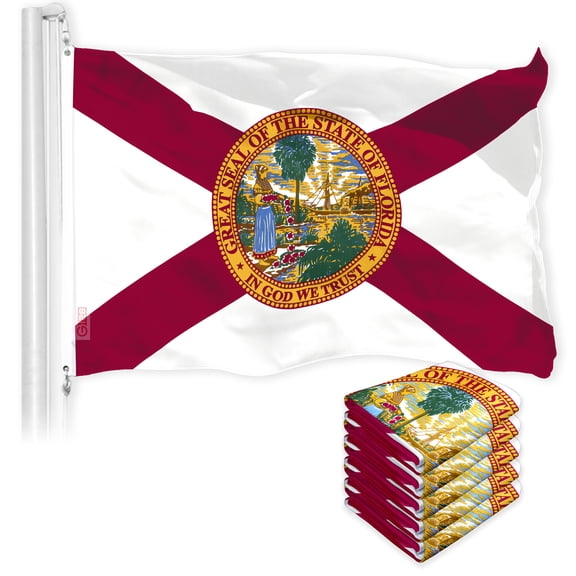 Florida FL State Flag 3x5FT 5-Pack 150D Printed Polyester By G128