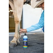 Vetericyn Liniment, 16 oz, Blue