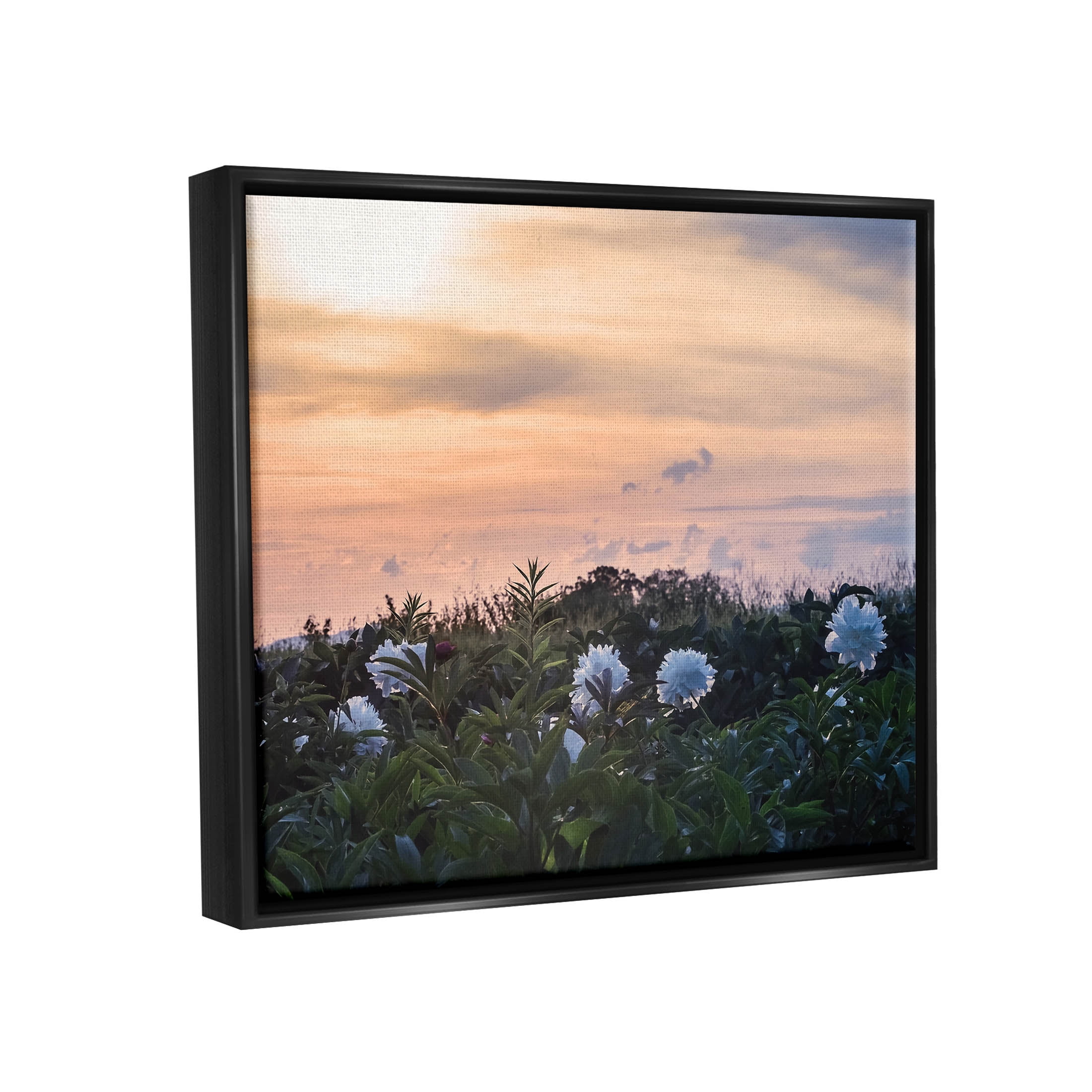 Wildflower Blossoms Sunset Sky Landscape Photograph Jet Black Framed Art Print Wall Art