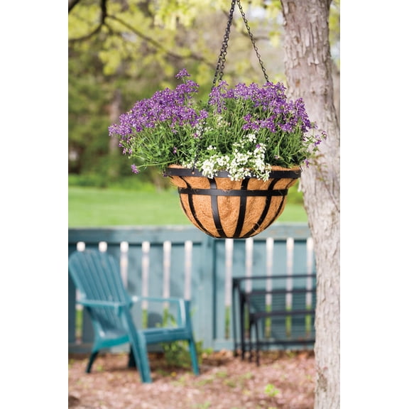 Panacea 88551 14 in. Round Flat Iron Hanging basket