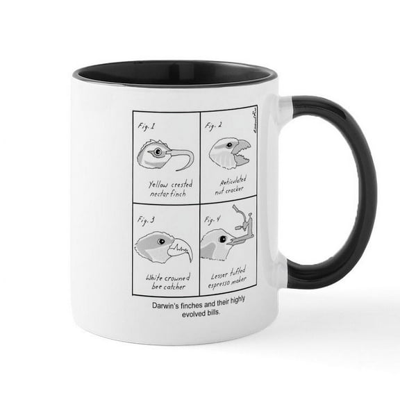 CafePress - Darwin's Finches Mugs - 11 oz Ceramic Mug - Novelty Coffee Tea Cup