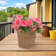 thumbnail image 4 of SHOWERORO Redondo Tejido Para Plantas Con Robusto De PP Para En Interiores Y Exteriores, 4 of 6