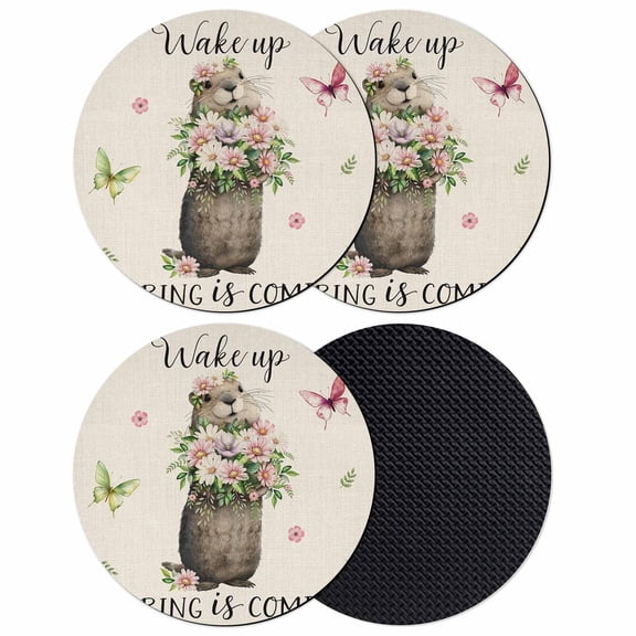 Rustic Groundhog Coasters Set of 4, Absorbent Coasters for Drinks, Spring Floral Butterfly Botanical Coaster for Desk Coffee Table Protection, Home Decor House Warming Gifts 4"