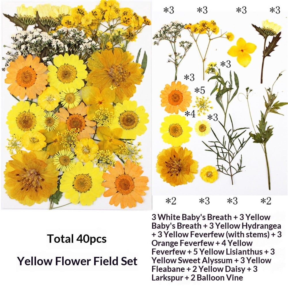 160PCS Dried Pressed Flowers for Resin Craft - Real Nature Flowers Set with Butterfly Stickers for DIY Jewelry Nail Scrapbook Art Floral Decors Iridescent