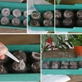 thumbnail image 3 of Home Gardening Seedling Tray Can Be Placed 3cm Or 4cm Diameter Seedling Block Green Plants Practical Tools, 3 of 5