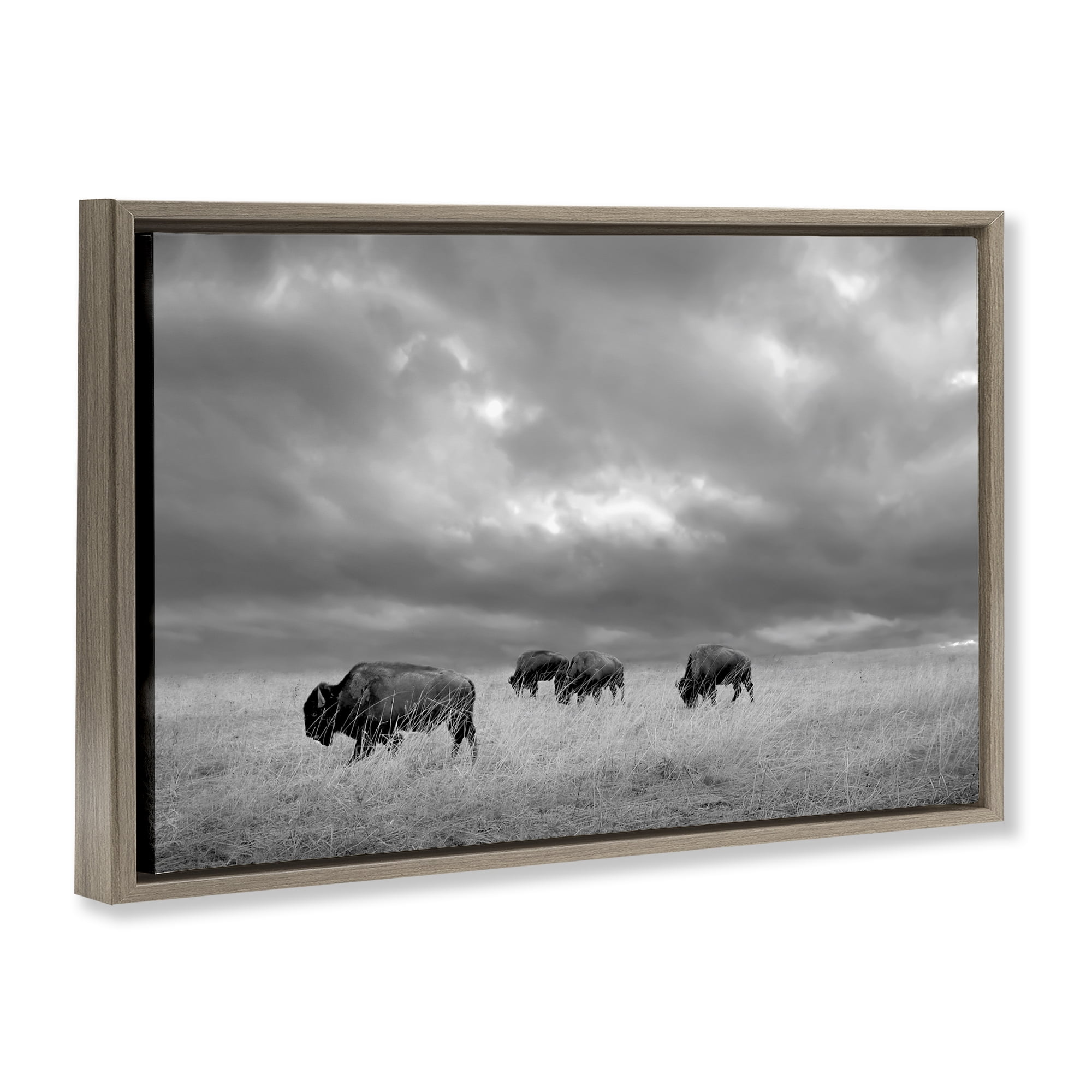 Stupell Industries Bisons Under an Autumn Sky Brown Framed Floater Canvas Wall Art, design by Steve Toole