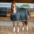 thumbnail image 2 of Open Front Stable Sheet, 2 of 3