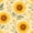 Color 4, variant on Peel and Stick Wallpaper Bright Sunflower Black Wall Mural 23.6in x 9.8ft Self Adhesive Removable Wall Paper Renter Friendly Wallpaper for Nursery Bedroom Cabinets