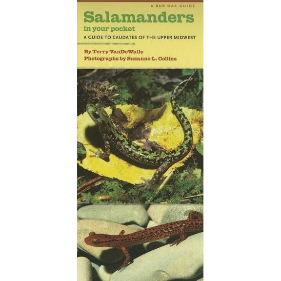 Bur Oak Guide: Salamanders in Your Pocket : A Guide to Caudates of the Upper Midwest (Other book format)
