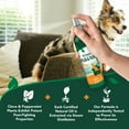 thumbnail image 3 of Vets Best Flea & Tick Spray for Dogs - 8 oz., 3 of 7