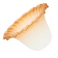 thumbnail image 3 of Miangastore European Frosted Lampshade Decorative Lamp Shade Home Chandelier Accessory, 3 of 8