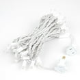 thumbnail image 7 of Novelty Lights 50 Light LED Twinkle Christmas LED Mini Light Set, Outdoor Curtain Fairy Wedding String Lights, Non-Connectable, Warm White, White White, 25 Feet, 7 of 7