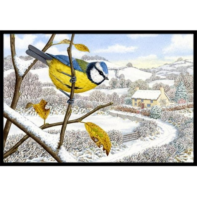 Tapis d'Intérieur Ou d'Extérieur Bleu Eurasien d'Hiver&44; 24 x 36