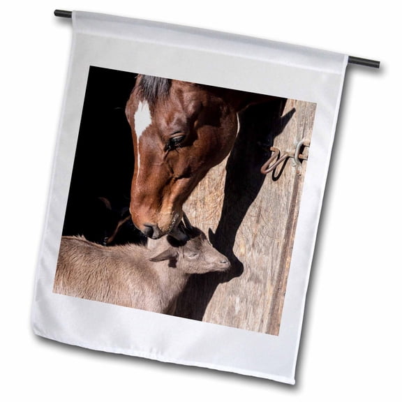 3dRose, Horse and Goat, 12 x 18 inch Garden Flag