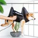 thumbnail image 1 of Hamaca CHAO para el cuidado de perros y gatos bolsa de aseo transpirable S M L, 1 of 5