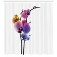 thumbnail image 3 of Ambesonne Orchids Shower Curtain, Vibrant Flowering Plant, 69"Wx84"L, Multicolor, 3 of 3