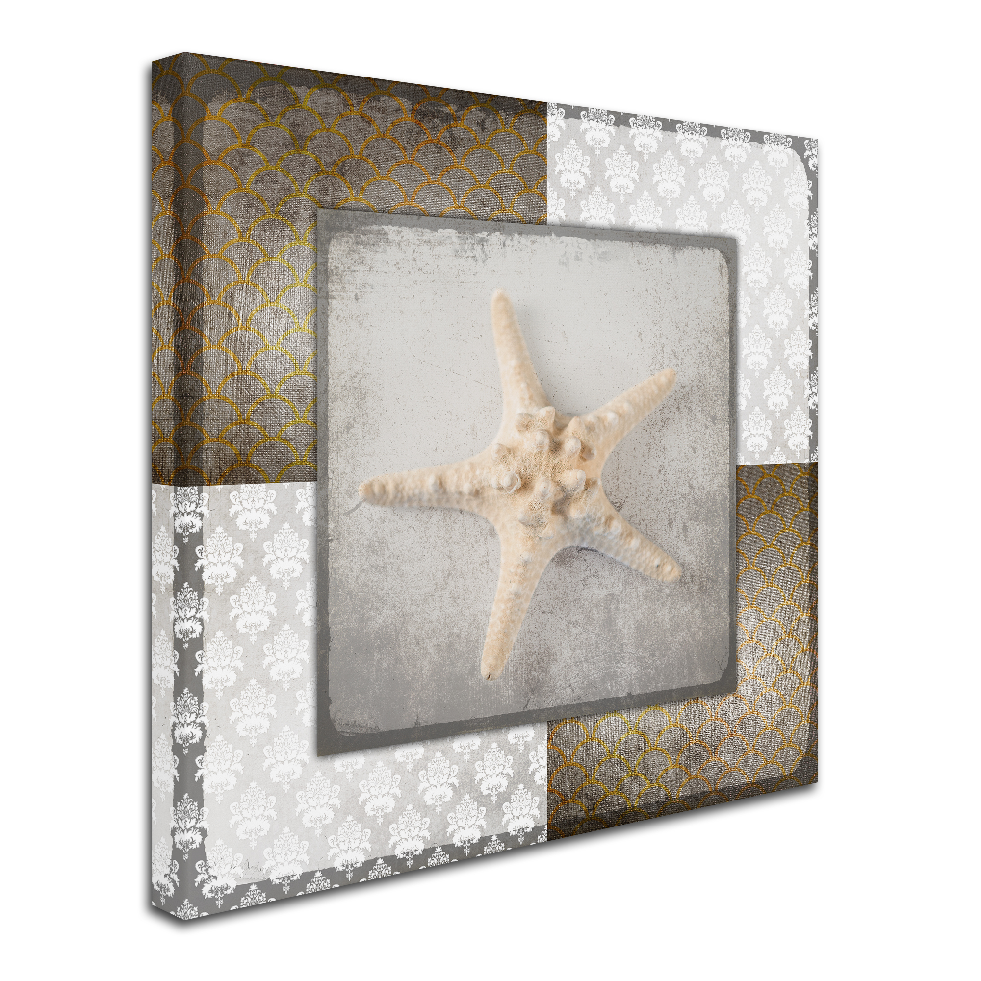 Trademark Fine Art 'Vintage Nautical Star 2' Canvas Art by LightBoxJournal