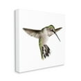 thumbnail image 3 of Stupell Industries Green Hummingbird Hovering Wings Flying Bird Beak Graphic Art Gallery Wrapped Canvas Print Wall Art, Design by Studio Q, 3 of 5