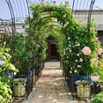 thumbnail image 5 of Metal Garden Arch with two plant stands 79.5'' Wide x 86.6'' High Climbing Plants Support Rose Arch Outdoor Black, 5 of 13