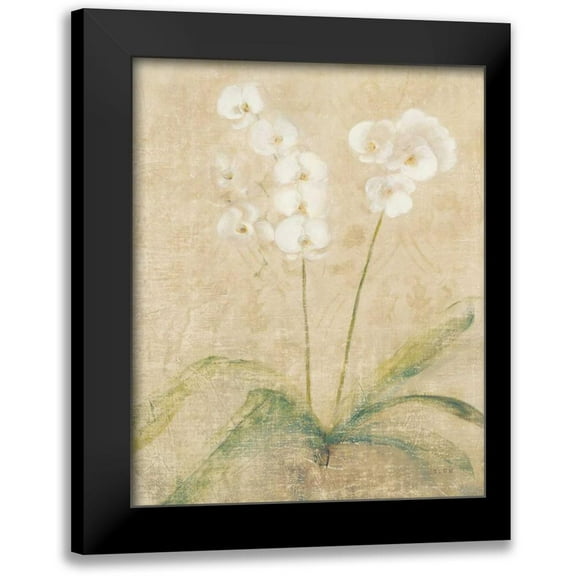 Blum, Cheri 12x14 Black Modern Framed Museum Art Print Titled - Orchid Cool