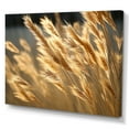 thumbnail image 2 of Designart "Golden Dreams In Tall Grass Meadows" Meadow Canvas Art Print, 2 of 7