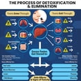 thumbnail image 4 of 1、Extractos naturales:, 4 of 10