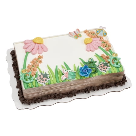 Beautiful Bugs Sheet Cake