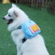 thumbnail image 2 of Mochila para cachorros, correa para perros pequeños, arnés para perros, transportín para coche, mochila para perros, correa para el pecho del perro, 2 of 4