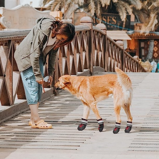 ZAPATOS PARA PERROS PEQUEÑOS - Botas Antideslizantes Transpirables, Protegen Patas En Invierno Y Verano, ¡ideales Para Paseos!