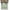 Texas Star0103, variant on Valance Curtains for Windows Funny Inspirational Quote Window Treatment Curtains Hope Everything Comes Out Okay Short Curtain Rod Pocket Valances for Kitchen Bathroom Living Room, 1 Panel 54x18 Inch