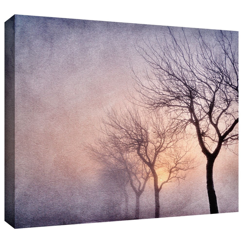 ArtWall Cora Niele "Early Morning" Gallery-Wrapped Canvas