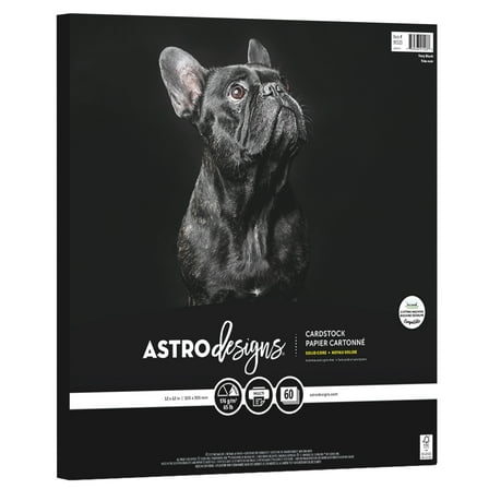 Neenah Astrodesigns 65lb Cardstock Pack 12"X12" 60/Pkg-Very Black