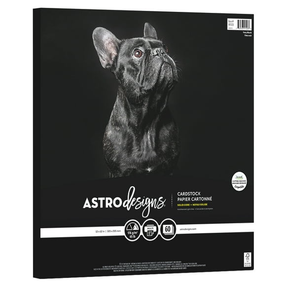 Neenah Astrodesigns 65lb Cardstock Pack 12"X12" 60/Pkg-Very Black