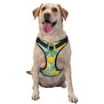 thumbnail image 1 of Balery Lemon Arnés para Perros Grandes Antitirones, Arnés con Correa para Gato, Arnés Tipo Chaleco para Perros Pequeños-Large, 1 of 6