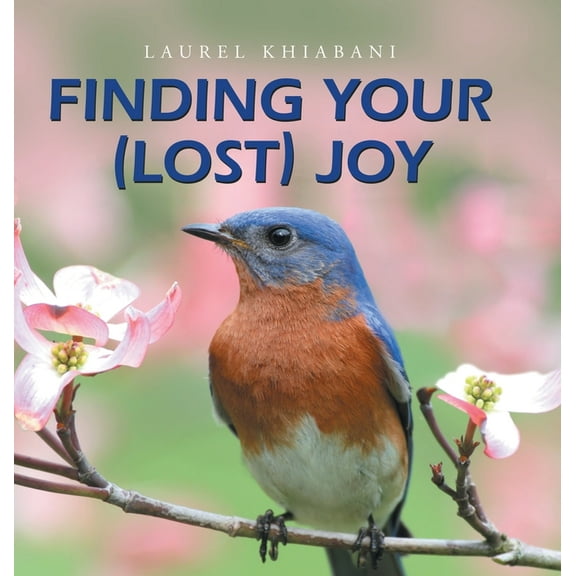Finding Your (Lost) Joy (Hardcover)