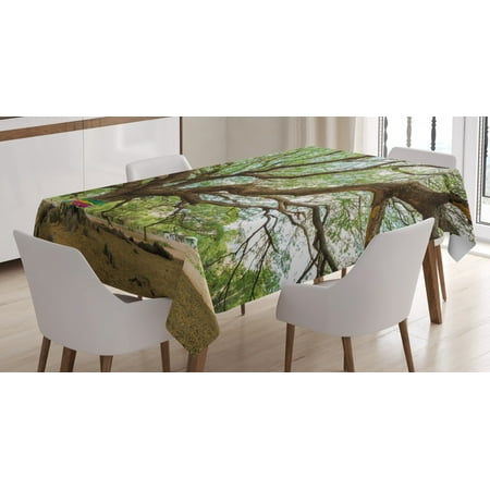 

Nature Tablecloth Magnificent Rain Tree in Thailand with Long Branches Rural Scenery Growth Picture Rectangular Table Cover for Dining Room Kitchen 60 X 90 Inches Brown Green by Ambesonne