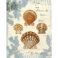 thumbnail image 2 of Berg, Sabine 26x32 White Modern Wood Framed Museum Art Print Titled - Seashell Collection I, 2 of 4