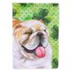 thumbnail image 1 of Bandera decorativa de lona para exteriores Caroline's Treasures bulldog inglés San Patricio 28 x 40 pulgadas multicolor, 1 of 1