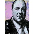 thumbnail image 4 of P Muir 19x24 Black Ornate Wood Framed With Double Matting Wall Art Titled - Tony Soprano, 4 of 6
