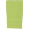 JAM Paper Kraft Lunch Bags, 6x11x3.8, Lime Green, 500/Box, Large