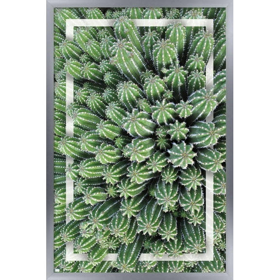 Cactus - Group Wall Poster, 14.725" x 22.375", Framed