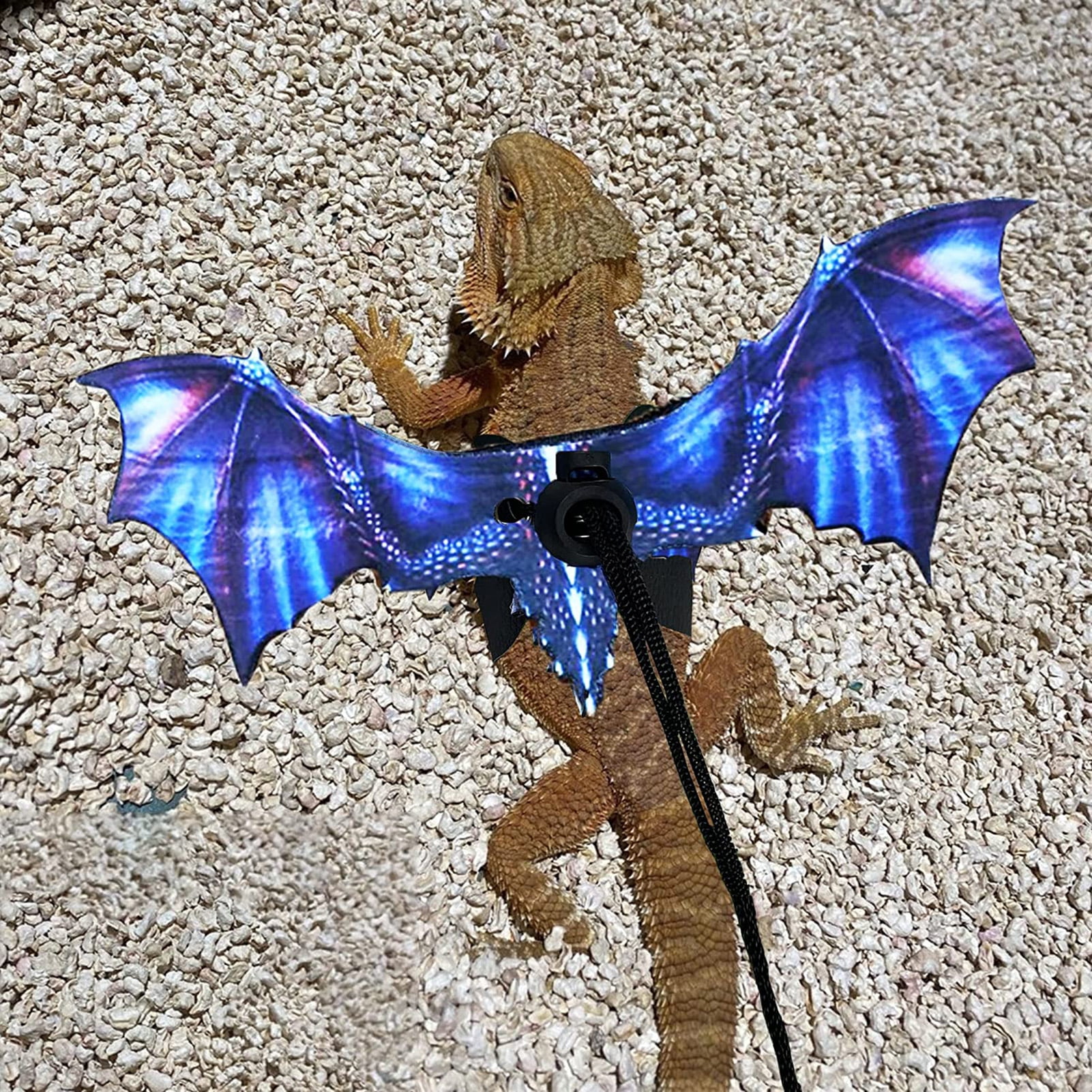  Pawaboo Adjustable Bearded Dragon Harness and Leash, 3 Size  Leather Reptile Leash Outdoor Harness Leash with Bat Wings for Lizard  Reptiles Amphibians Small Pet, Small/Medium/Large, Black+Gold : Pet Supplies