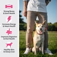 thumbnail image 3 of Healthy Bite 12 in 1 Multivitamin for Dogs - 120 Count Dog, Skin and Coat Supplement, Immune Support for Dogs, Pet Vitamins Dogs, Calcium for Dogs, Vitamin for Dogs Made in USA, 3 of 9