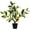 Lemon Tree, variant on 20" Artificial Pomegranate Tree Fake House Green Plant Fruits Decoration with Plastic Pot Big Realistic Leaves for Home Table Office Garden Indoor