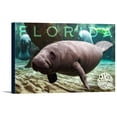 thumbnail image 1 of Florida - Manatees Underwater - Lantern Press Photography (18x12 Gallery Wrapped Stretched Canvas), 1 of 1