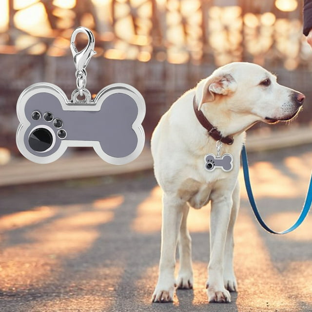 Cat Tag,Alloy Pet ID Tag Dog Necklace Tag Dog Name Necklace Optimal Efficiency