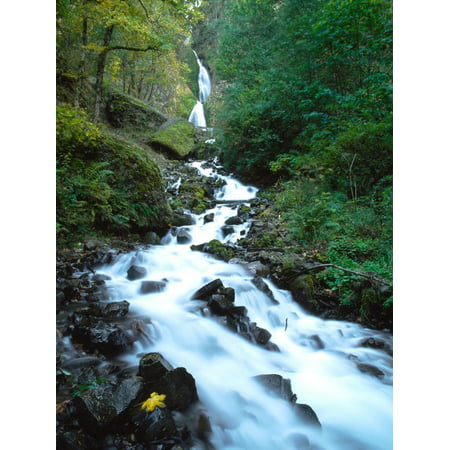 Wahkeena Falls, Columbia River Gorge National Scenic Area, Multnomah County, Oregon, USA Print Wall