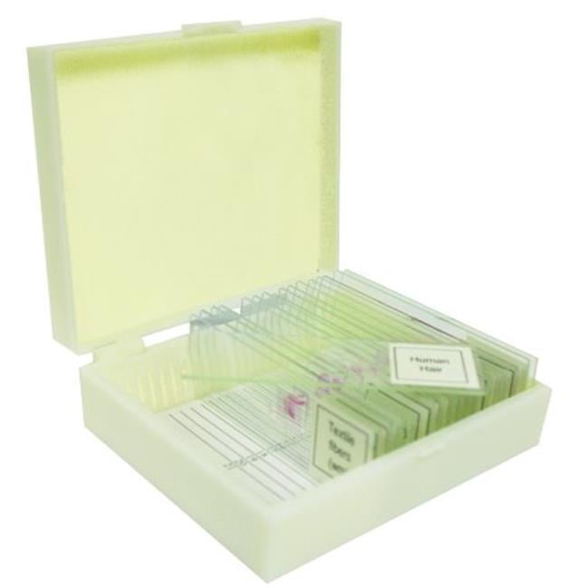 vision scientific vse123 parts of insect prepared slide set of 12