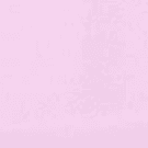 Ballerina Pink/Candy Pink